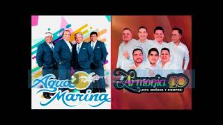 DJ JUANMIX ARMONIA 10 VS AGUA MARINA 2024EXITOS DE ORO [upl. by Alene827]