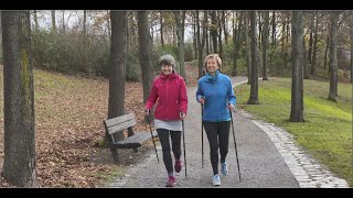 AESCULAP® OrthoPilot® Elite  Patient Video [upl. by Hardigg728]