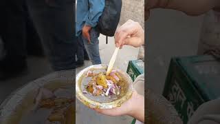 cholekhastachaat streetfood [upl. by Crandale457]