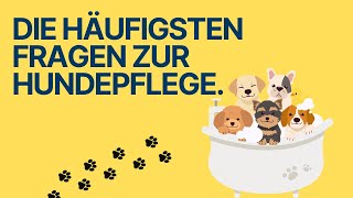 Pflege leicht gemacht Die FAQs für Hundebesitzer [upl. by Oznole]