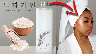 RICE WATER FOR FACE I TRIED RICE INFUSED KOREAN SKIN CARE FOR BRIGHTER GLOWING SKIN [upl. by Lennej]