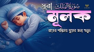 সূরা মুলক l রাতের শান্তিময় ঘুমের জন্য শুনুন l الملك Surah Mulk l Recited By Shamsul Hoqe [upl. by Auvil]