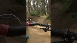 CHICKSANDS MTB💥Snake Run mtb bike downhill chicksands bikepark jumps [upl. by Stutman]