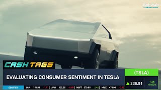 Everything Is Getting More Expensive Except Tesla TSLA Cars [upl. by Akiwak837]