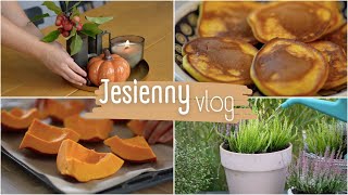 Jesienne dekoracje i wrzosy w donicach 🍂 mus z dyni 🎃 najpyszniejsze dyniowe placki 🥞 [upl. by Thomasina]