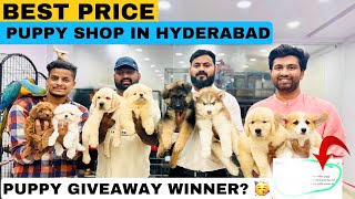 BEST PRICE DOG SHOP IN HYDERABAD  PUPPY GIVEAWAY WINNER ANNOUNCED 🐶🎉 [upl. by Fortunia]