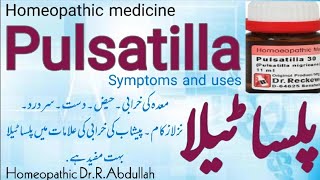 Pulsatilla  Pulsatilla homeopathic medicine uses symptoms in urdu hindi  pulsatilla 30200 uses [upl. by Pages]