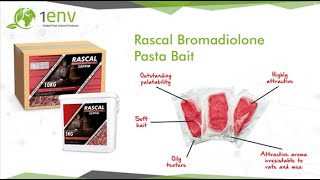 Rascal Bromadiolone Pasta Bait Informational Video [upl. by Enamrej]