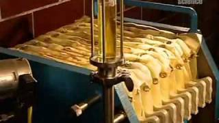 How Vegetable Oil Is Made [upl. by Eunice]