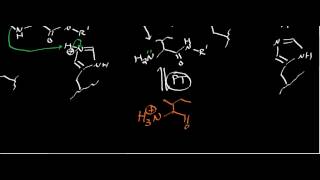 Biochemistry  Protease Mechanisms Part 33 [upl. by Attesor425]