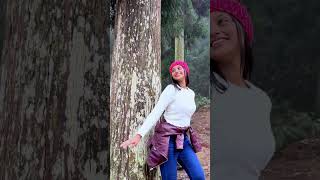 Darjeeling ❄️ shorts trending bengali dance [upl. by Sitoiganap]