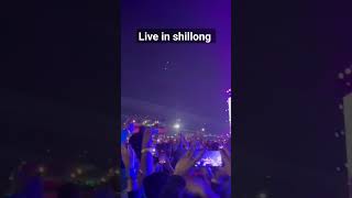 cherry blossom festival in shillong 2024 shillongshortvideo [upl. by Cyndy]