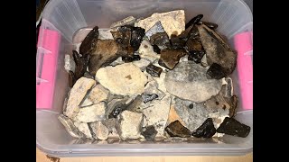 Grand at Euclid DeLand PreConstruction Artifact Hunting Metal Detecting history florida treasure [upl. by Silrac]