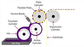 Flexographic Printing Explained [upl. by Cacia]