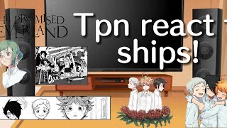 tpn react to ships 💕norraygilemma natanna 💕💖 [upl. by Tonjes702]