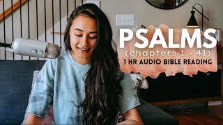 The Book of Psalms chapters 1 to 41  Scriptures with soaking music  1 hour Audio Bible reading [upl. by Clementis]