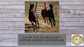 La vie aux écuries de l espoir liberté intérieure [upl. by Conah]