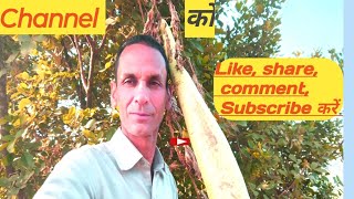 Please subscribe my channel like share commentyoutubevideo pahadilifestylevlog vlogpahadi [upl. by Leirea]