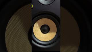 KRK Rokit 5 G4 Studio Monitor Demo [upl. by Subak]