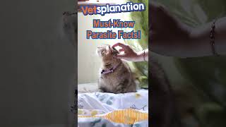 MustKnow Pet Parasite Facts [upl. by Trisha]