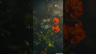 Imam Hussain ko jibreel bata rahe hain [upl. by Nirret]