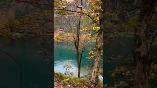 autumn alpee nature alpen alpstein bayern mountains walking radtour allgau neuschwanstein [upl. by Dent]