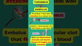 Thrombus VS Embolus EXPLAINED [upl. by Alain]