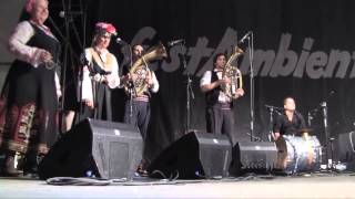 Goran Bregovic  Live  Festambiente 2013 [upl. by Armalla]