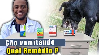 REMÉDIO para cachorro VOMITANDO Qual o melhor e quando usar [upl. by Brig403]