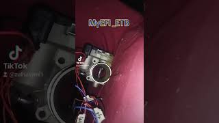 DiY efi standalone ecu with ETB [upl. by Nnylrebma]