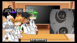 PAST TPN REACT FULL VIDEOJOLLYGEORGE [upl. by Cnahc]