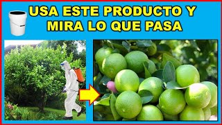 Prueba este biofertilizante y cosecharás muchos más frutos Discovery Mundo [upl. by Searcy432]