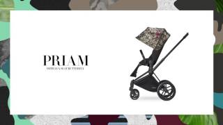 CYBEX Travel system PRIAM Butterfly with Lux Seat [upl. by Nevad]