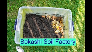 DIY Bokashi Soil Factory [upl. by Eannyl938]