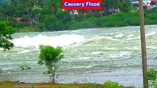 Mettur Dam Highest Water Release Flood in Cauvery River Mettur Dam Water Opening [upl. by Gaylor995]