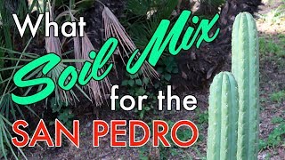 What soil mix for the San Pedro Cactus very simple recipe [upl. by Riehl]