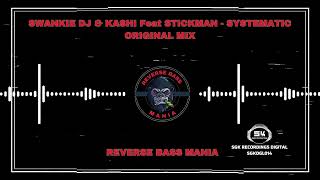 Swankie DJ amp Kashi Feat Stickman  Systematic Original Mix [upl. by Earehs]