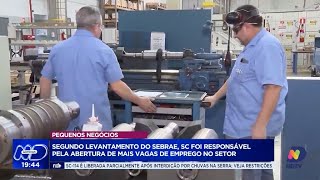 Crescimento do emprego em SC dados do Sebrae mostram força dos pequenos negócios [upl. by Cadmarr]