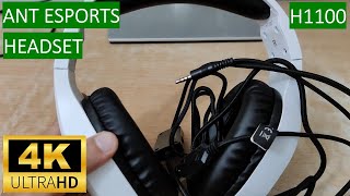 Ant Esports H1100 Pro Auto RGB Gaming Headset  Unboxing [upl. by Eilime]