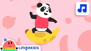 ABC SONGS FOR KIDS 🔤 🎵 The Best Lingokids ABC songs  Lingokids [upl. by Waxler]