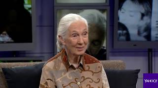 Jane Goodall on how Bigfoot might be real [upl. by Sadoff]