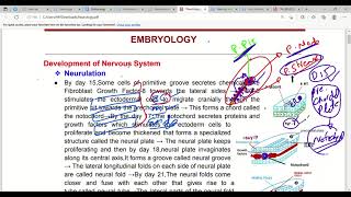 Neurodevelopment amp Embryology Nervous System In First Aid  Lec1 [upl. by Rovner]