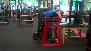 Reverse Hyperextensions Weighted [upl. by Eirehs]