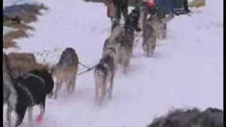 Finnmarkslopet 2009 Czech musher Jana Henychova [upl. by Bannasch]