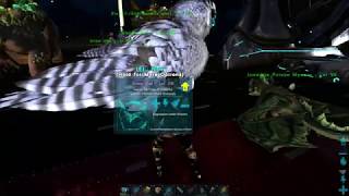 ARK Survival Evolved Wyvern raising without milk [upl. by Werdnaed]