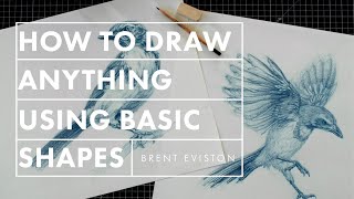 How to Draw Anything Using Basic Shapes [upl. by Ainnat]