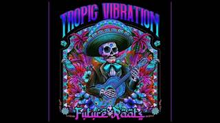 Tropic Vibration  Light It Up fast [upl. by Saber309]