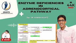 Enzyme Deficiencies In Adrenocortical Pathway CONGENITAL ADRENAL HYPERPLASIA [upl. by Augustin968]