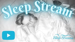 live ASMR SleepSnore Stream with Puppies [upl. by Ardnuaek]