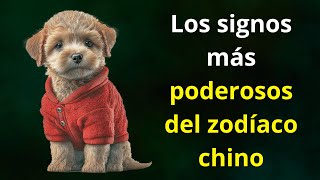 Los signos más poderosos del zodíaco chino [upl. by Mortensen142]